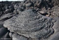  Plosky Tolbachik Volcano