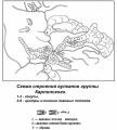  Вулкан Карпинского